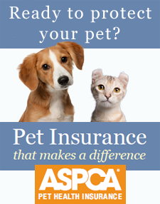 Pet Insurance Online Quote